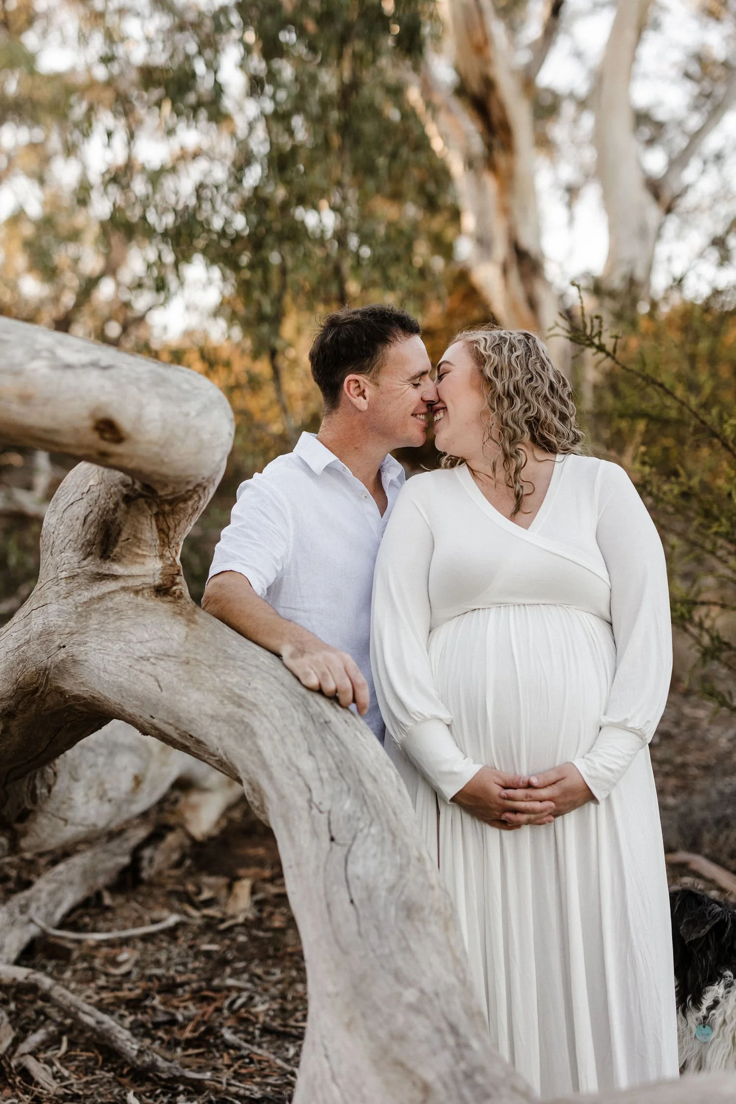 12 Auburn Clare Valley Farm Maternity Portraits in the scrub.jpg