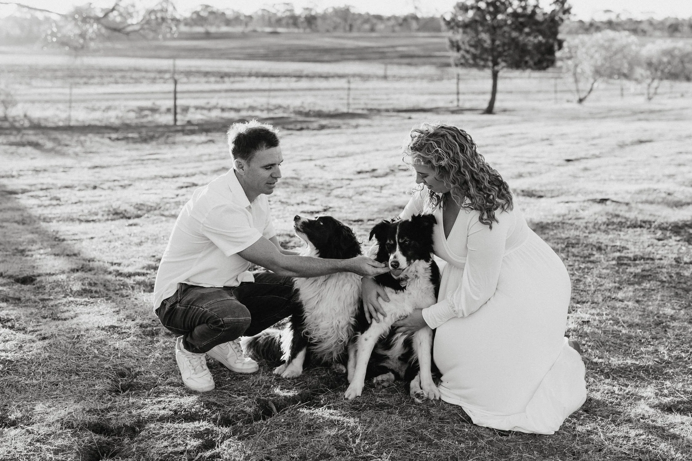 19 Auburn Clare Valley Farm Maternity Portraits in a paddock with dogs.jpg