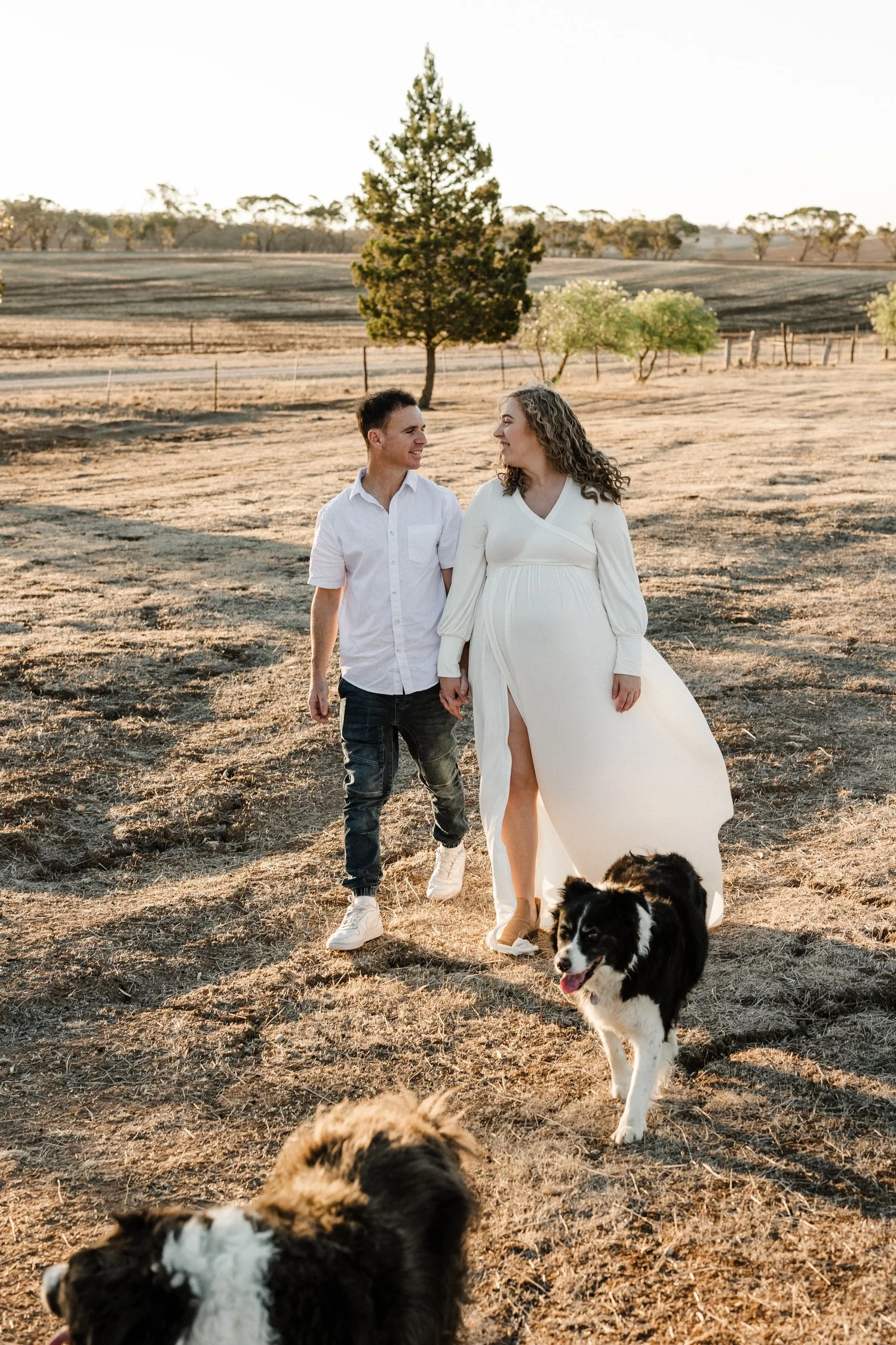 20 Auburn Clare Valley Farm Maternity Portraits in a paddock with dogs.jpg