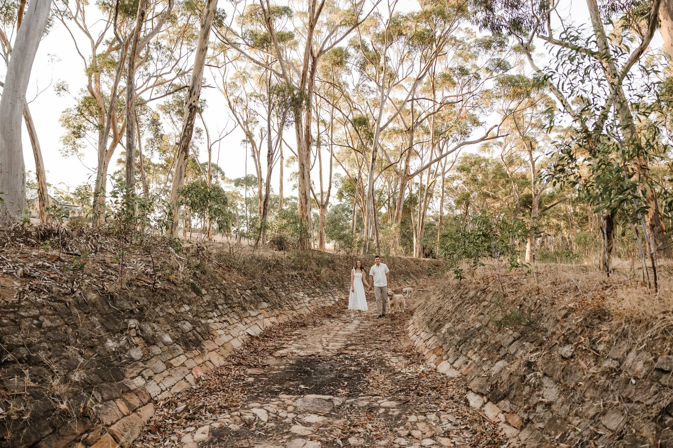 08 The Pines Kapunda engagement portraits with dog.jpg