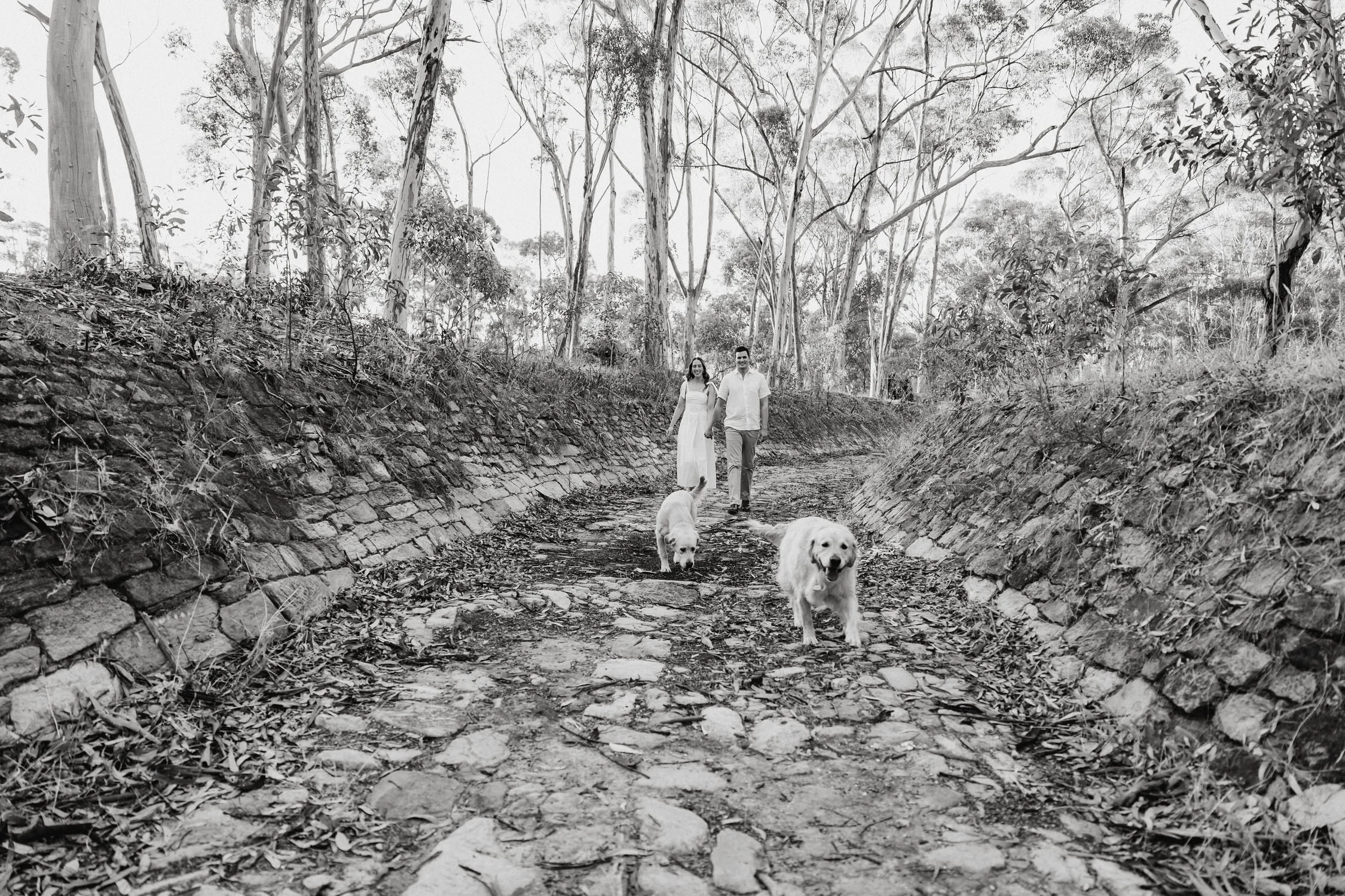 09 The Pines Kapunda engagement portraits with dogs.jpg