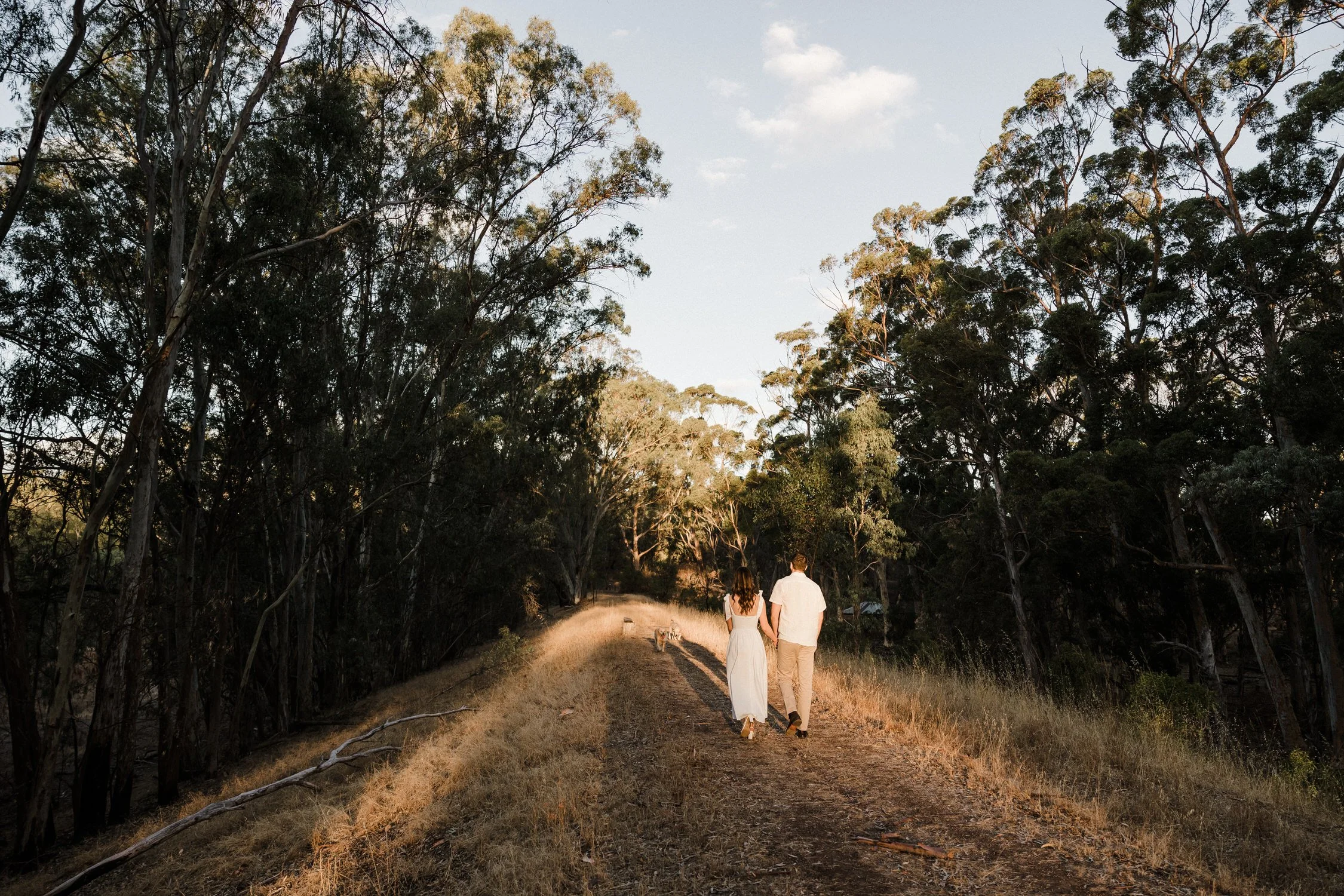 16 The Pines Kapunda engagement portraits.jpg