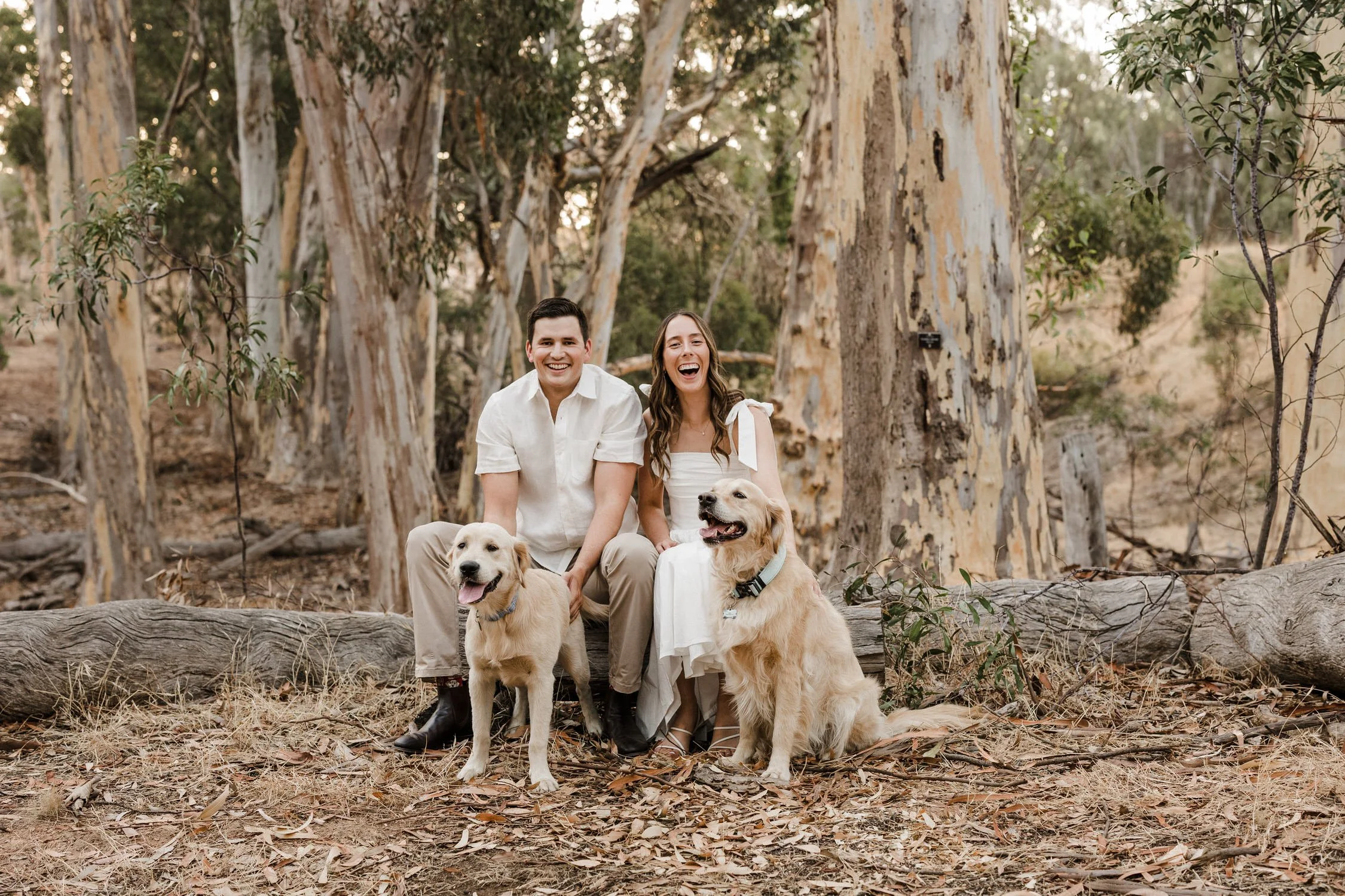 22 The Pines Kapunda engagement portraits with dogs.jpg