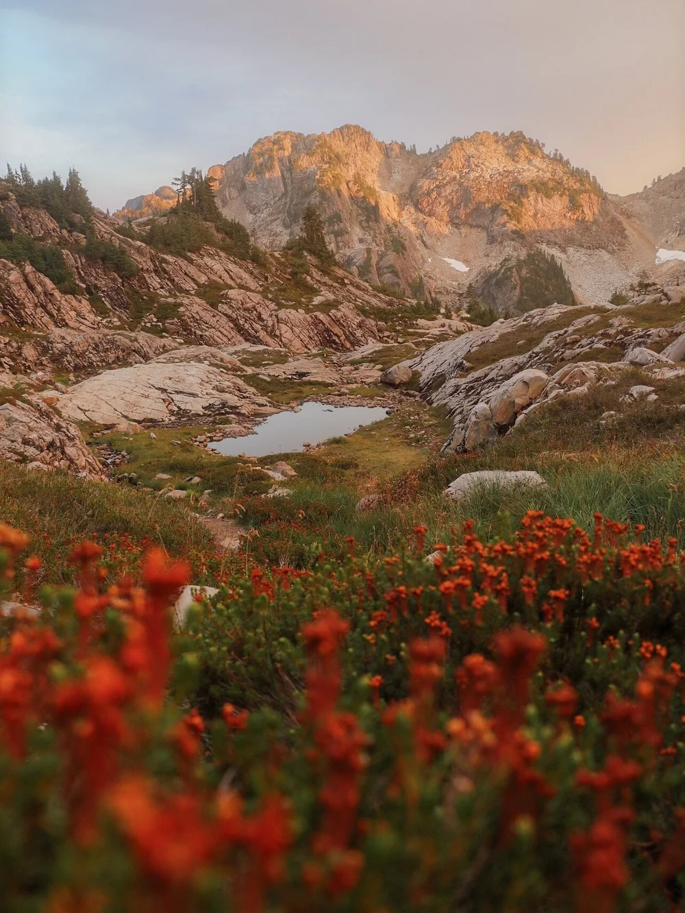 gothic basin // sept &lsquo;25

another year around the sun. another year to promise myself that i will always try to prioritize time outside and my own mental health. another year to try to knock anxiety out the door. 

- - - - - - - -

#optoutside 