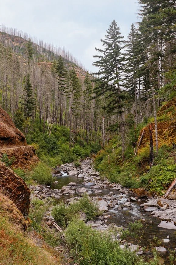 Views along the Eagle Creek Trail.jpg