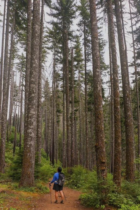 Caroline hiking to Tunnel Falls via the Eagle Creek Trail.jpg