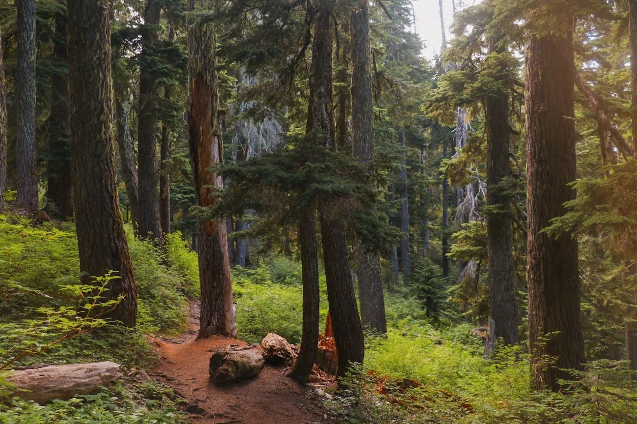 Hiking trail heading towards Cottonwood Lakes near Snoqualmie Pass, Washington