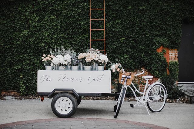 Had so much fun working on this project with Michaela over the past month, but now I’m ready for it to come to life tomorrow! Come check out The Flower Cart at the Kankakee Farmers Market tomorrow morning! Look for the black and white striped tent!
