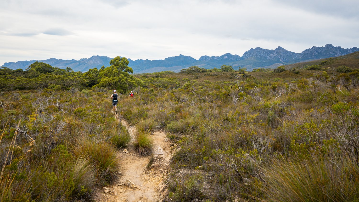 Tasmanian Photography - Western Arthurs Range - Tasmania - Wilkography-4.jpg