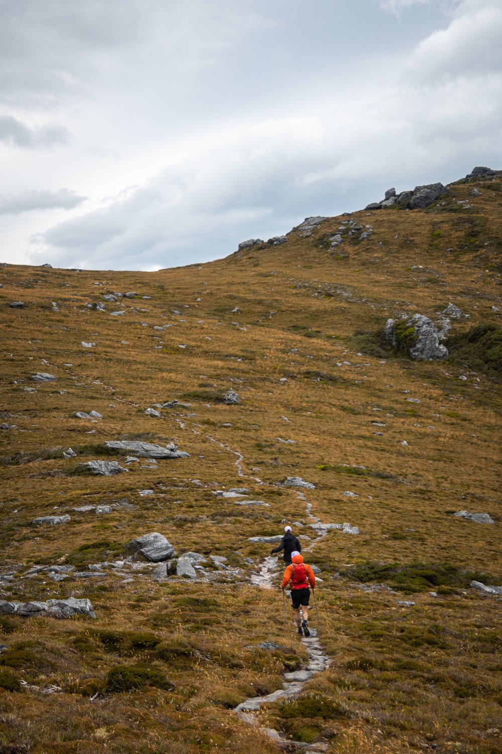 Tasmanian Photography - Western Arthurs Range - Tasmania - Wilkography-31.jpg