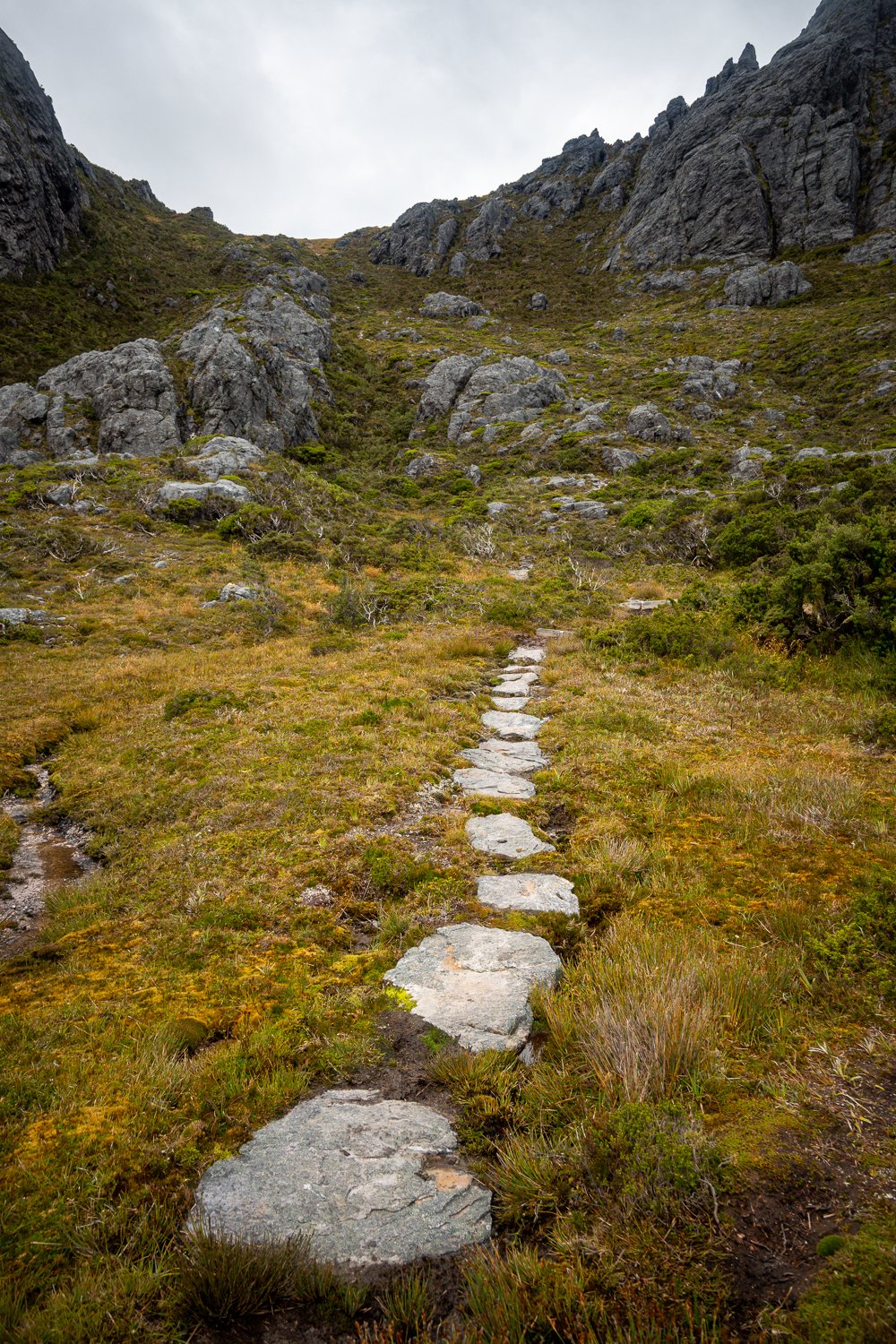 Tasmanian Photography - Western Arthurs Range - Tasmania - Wilkography-40.jpg