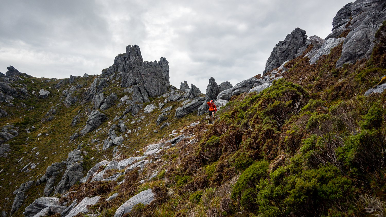 Tasmanian Photography - Western Arthurs Range - Tasmania - Wilkography-48.jpg