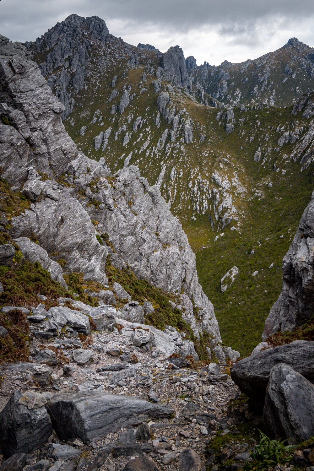 Tasmanian Photography - Western Arthurs Range - Tasmania - Wilkography-51.jpg