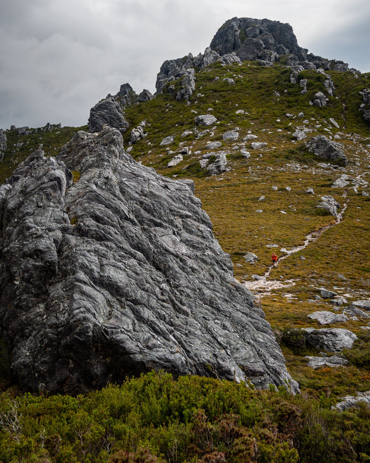 Tasmanian Photography - Western Arthurs Range - Tasmania - Wilkography-56.jpg