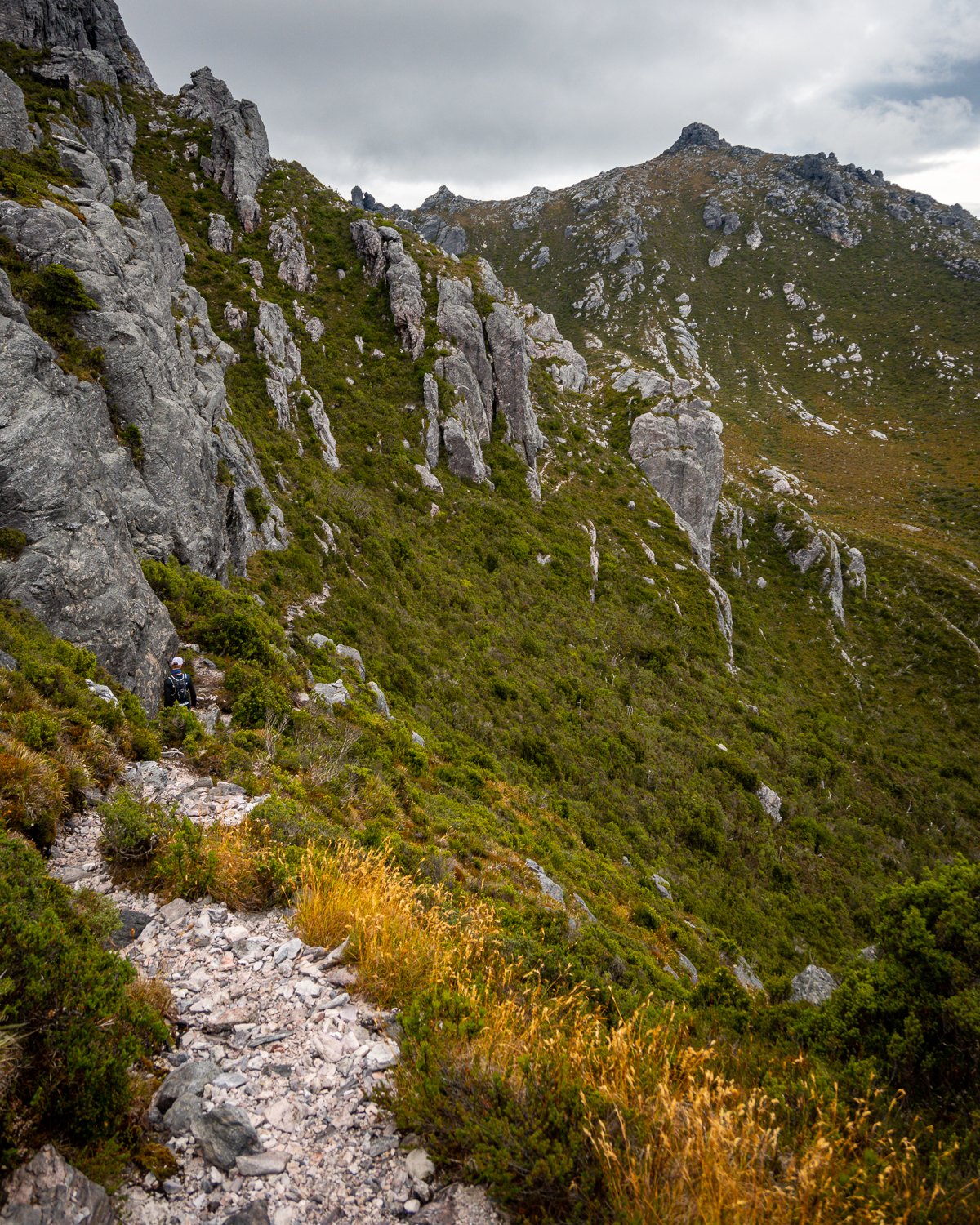 Tasmanian Photography - Western Arthurs Range - Tasmania - Wilkography-64.jpg