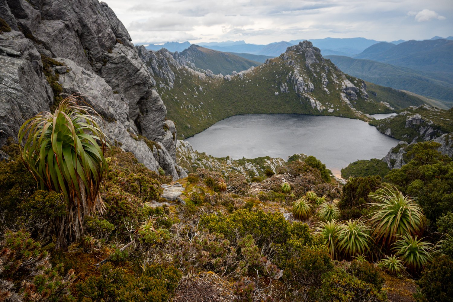 Tasmanian Photography - Western Arthurs Range - Tasmania - Wilkography-70.jpg