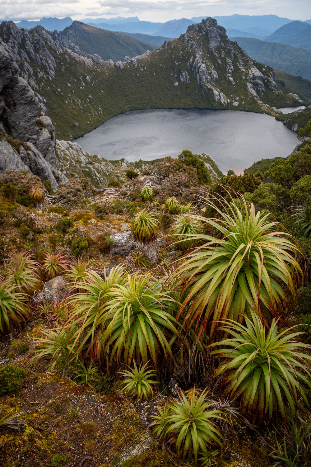 Tasmanian Photography - Western Arthurs Range - Tasmania - Wilkography-71.jpg