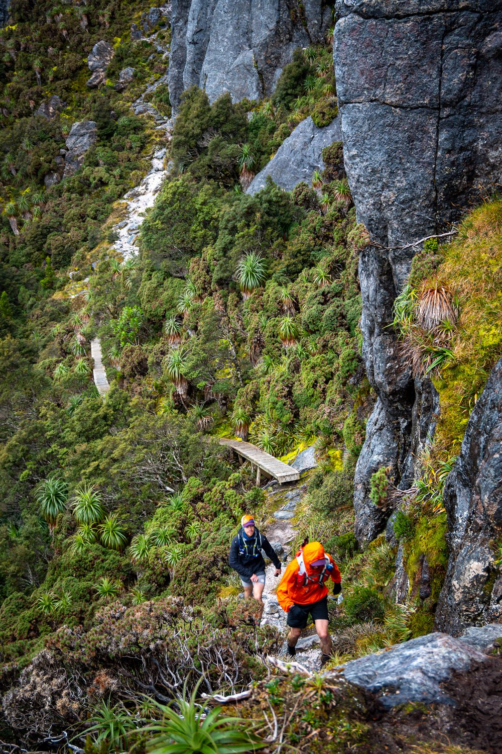 Tasmanian Photography - Western Arthurs Range - Tasmania - Wilkography-78.jpg