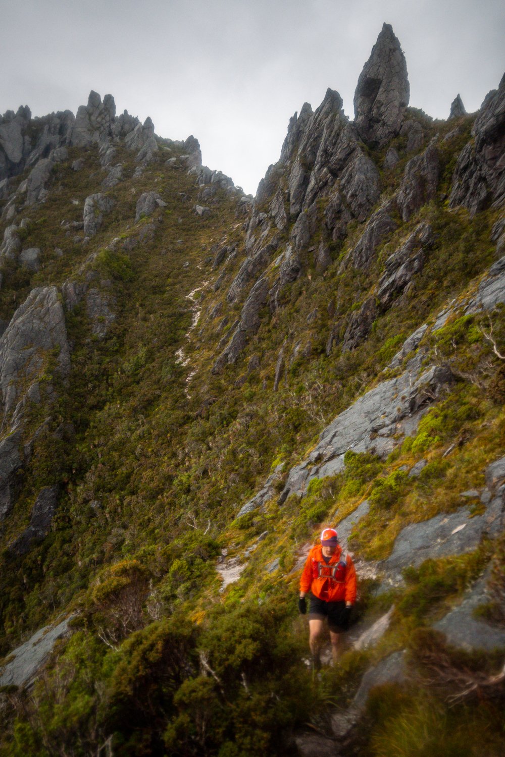 Tasmanian Photography - Western Arthurs Range - Tasmania - Wilkography-103.jpg