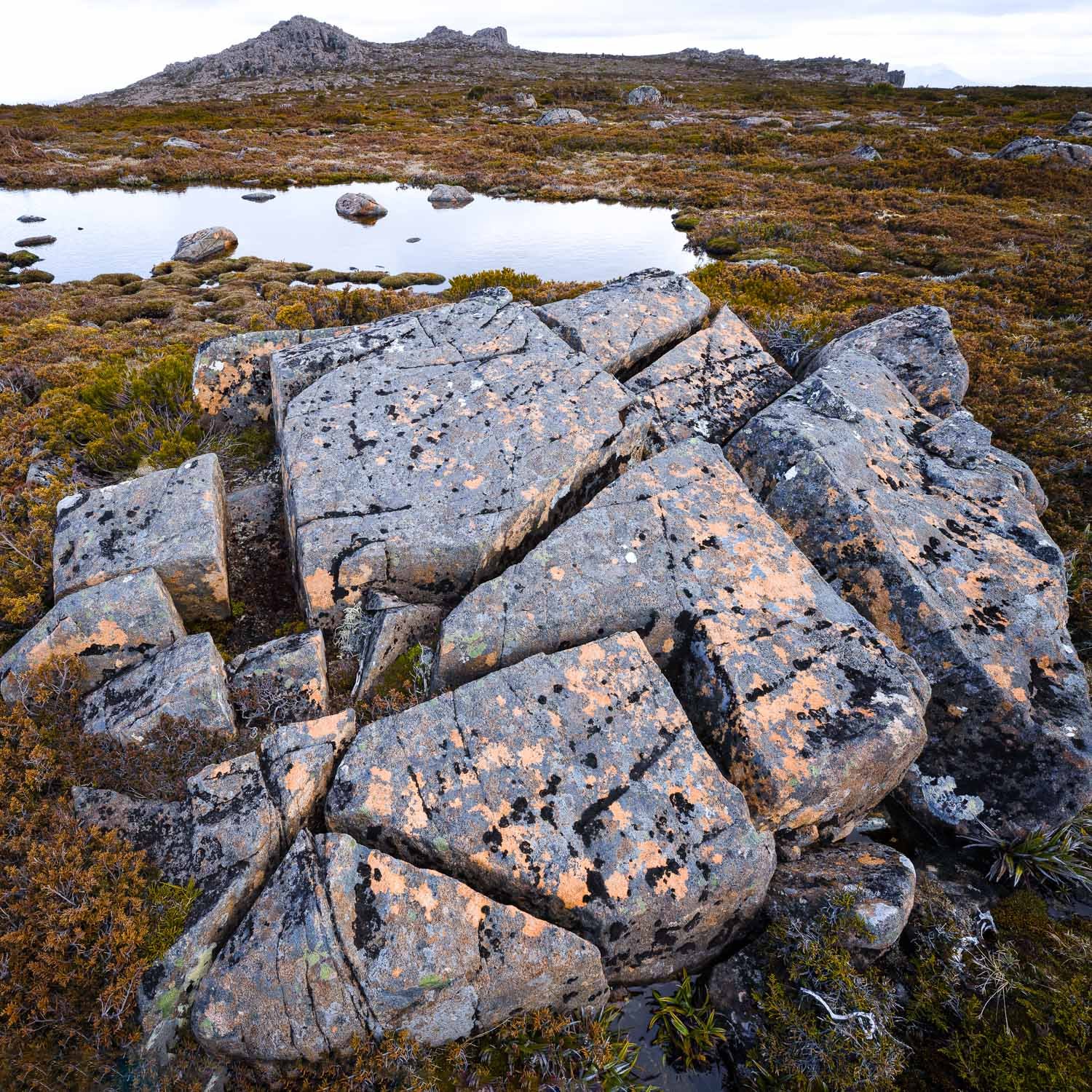 Tasmanian Photography - Wilkography - Mt Field National Park-2.jpg