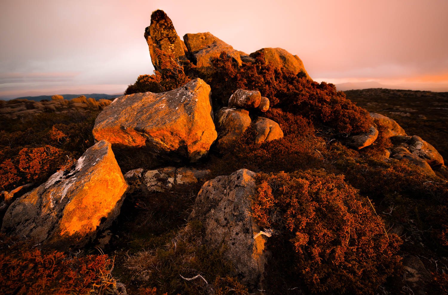 Tasmanian Photography - Wilkography - Mt Field National Park-4.jpg