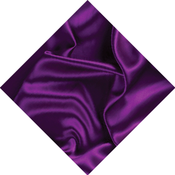petunias V03