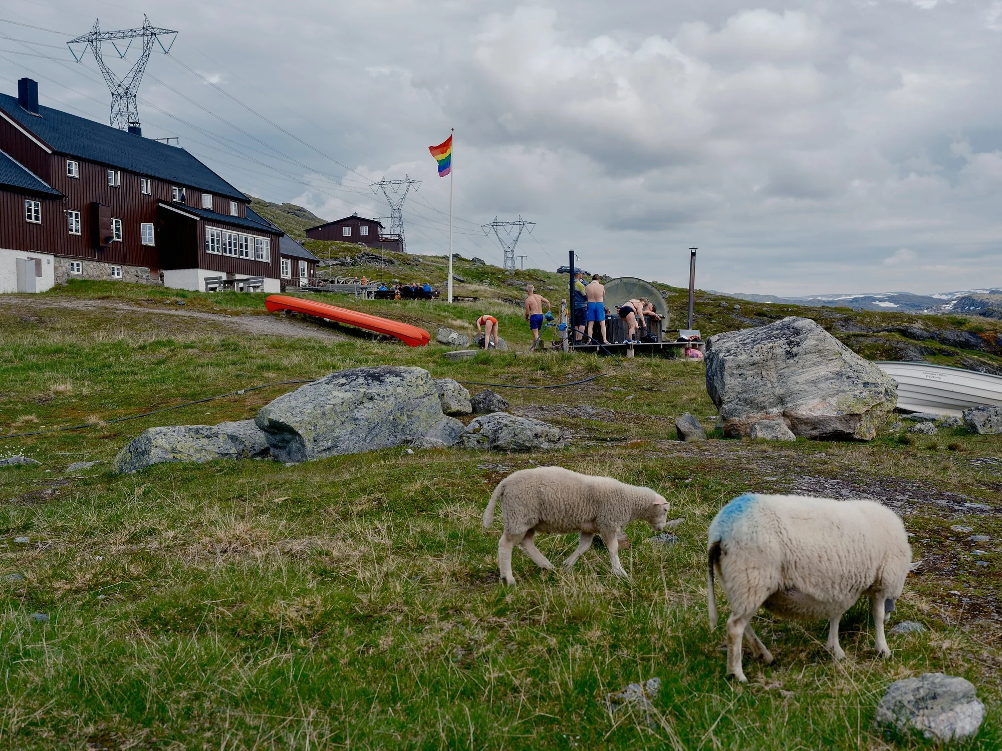   Mountain Pride at Geiteryggen, July 2026.  
