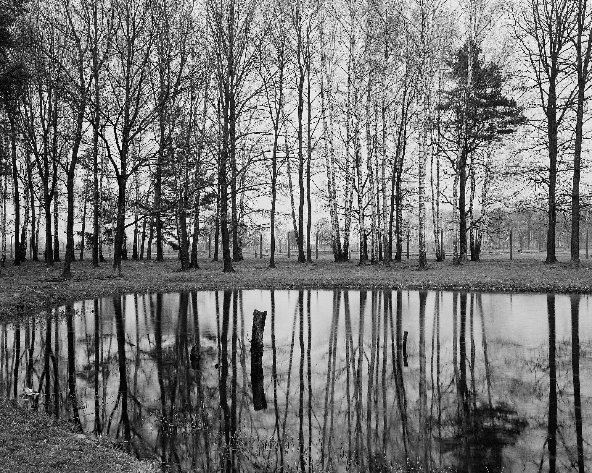   Auschwitz, Poland, April 2018: The Ash pond.  