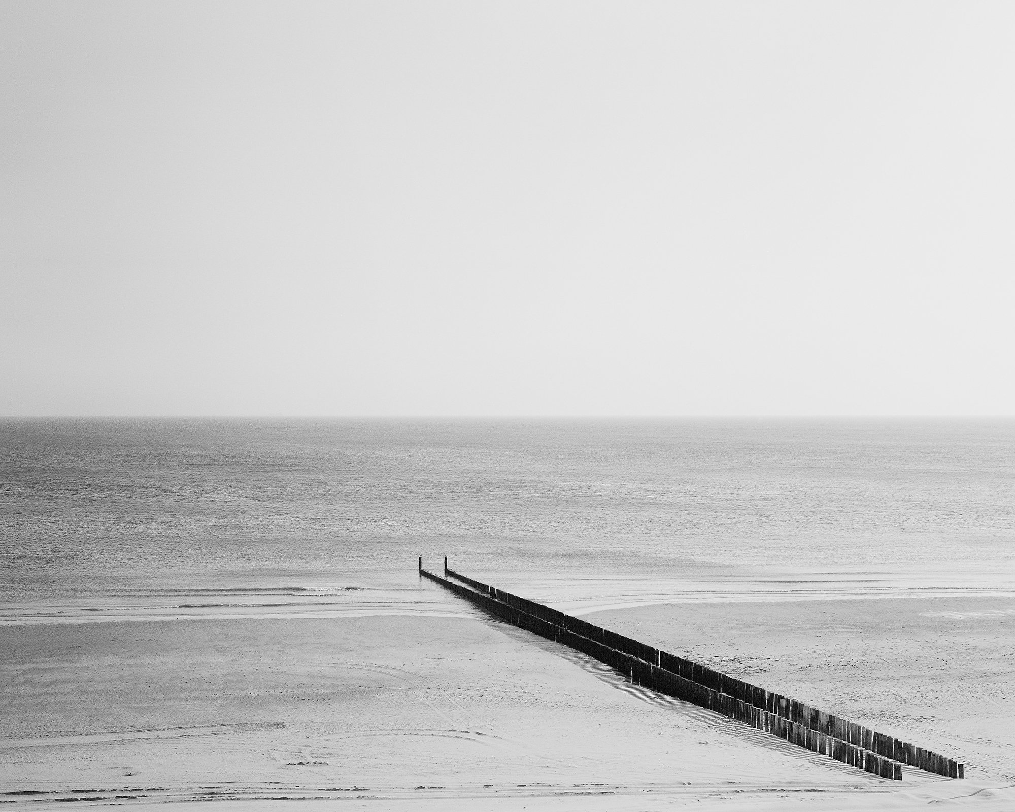   Zoutelande, The Netherlands, June 2015.   