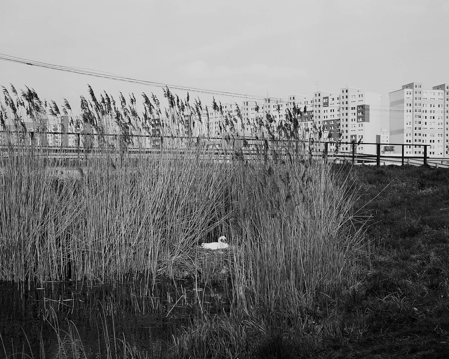   Bratislava, Slovakia, April 2019. Petrzalka.   