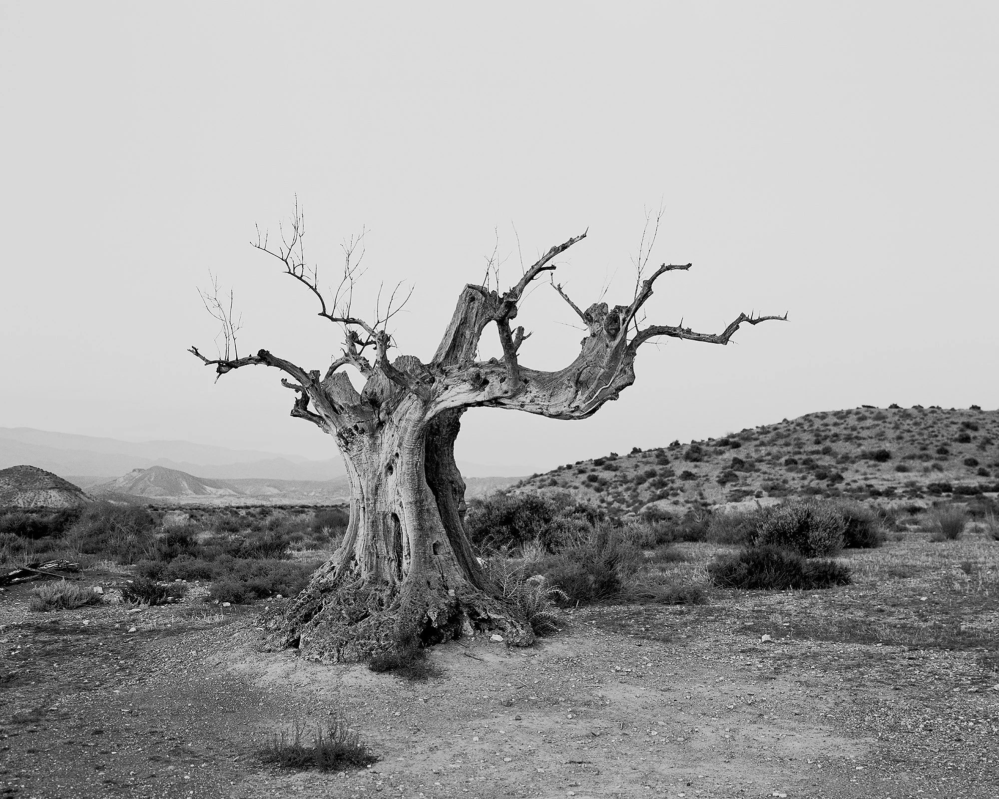   Almeria, Spain, December 2017: The Tabernas Desert.   
