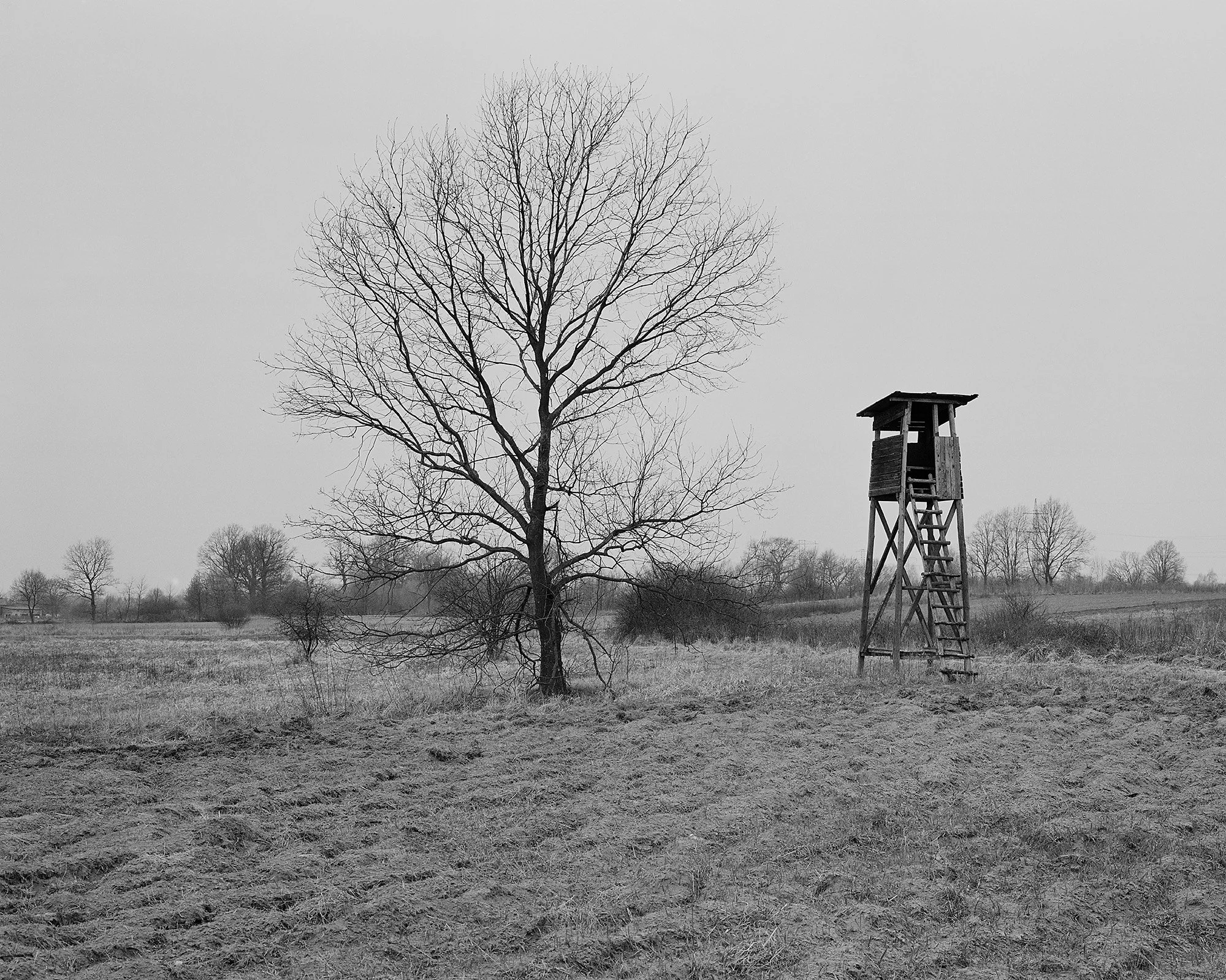   Poland, April 2019.  