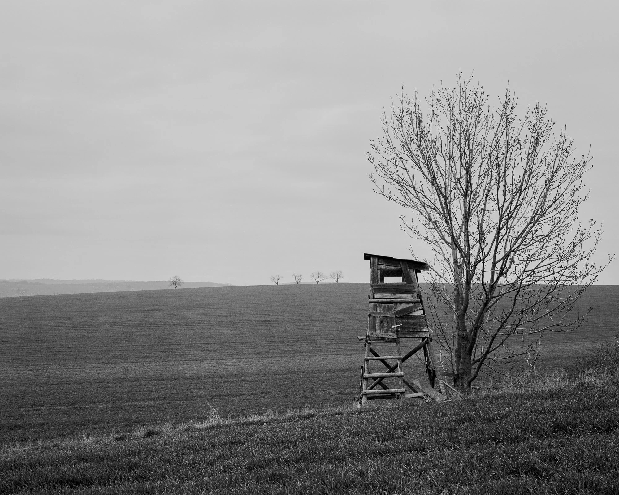   Austerlitz, Czech Republic, April 2019 .  