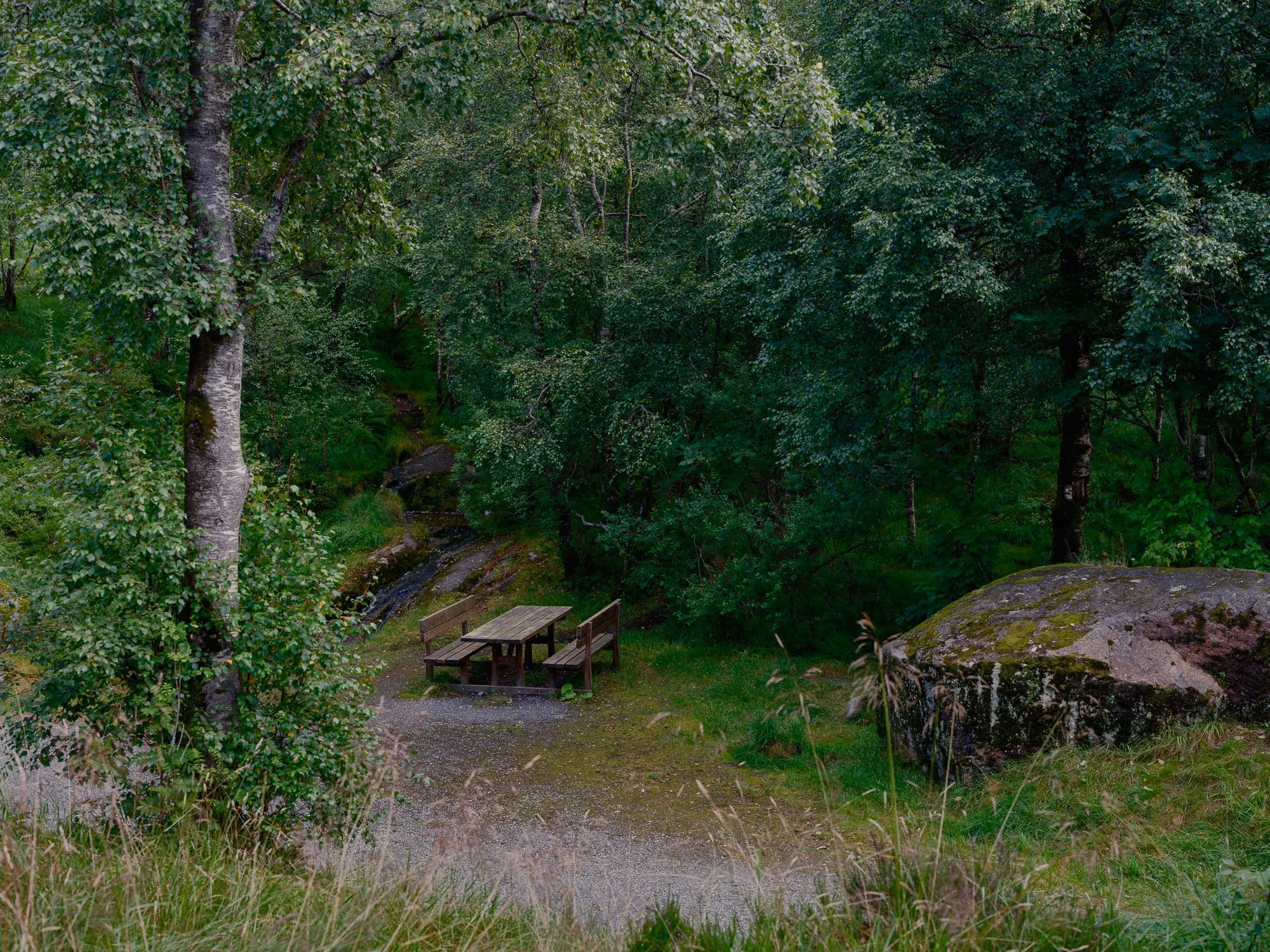  2026-08-03 - Løvstien, near Melkeplassen. 