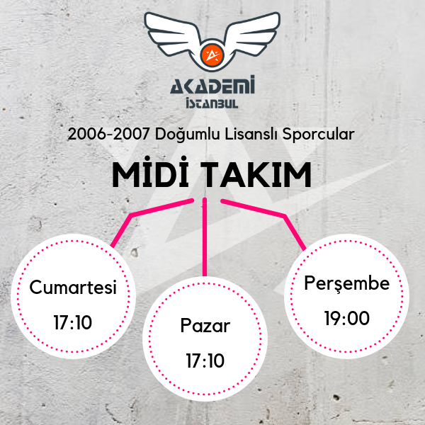 V-MİDİ B.png