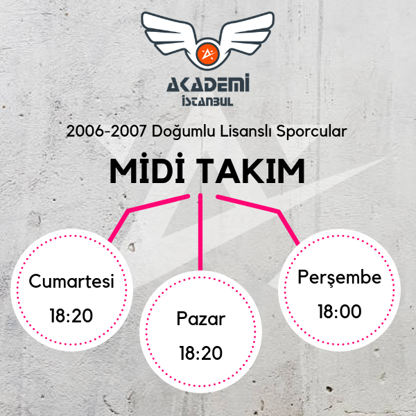 V-MİDİ A.png