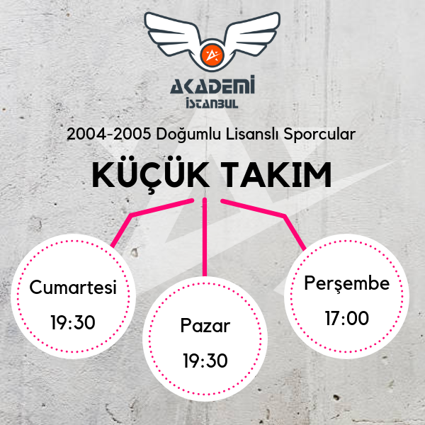 V-KÜÇÜK.png