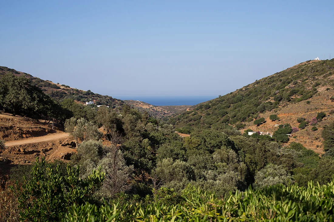 andros_110.JPG