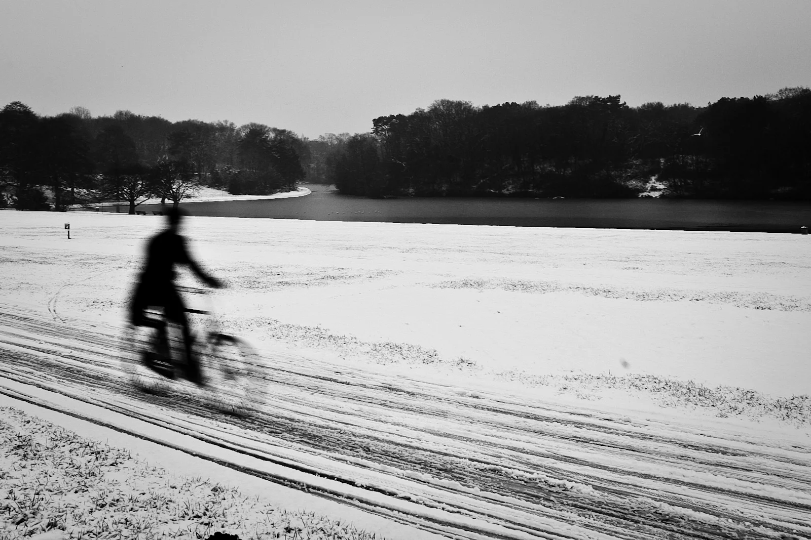 wpid895-FILE146.jpg