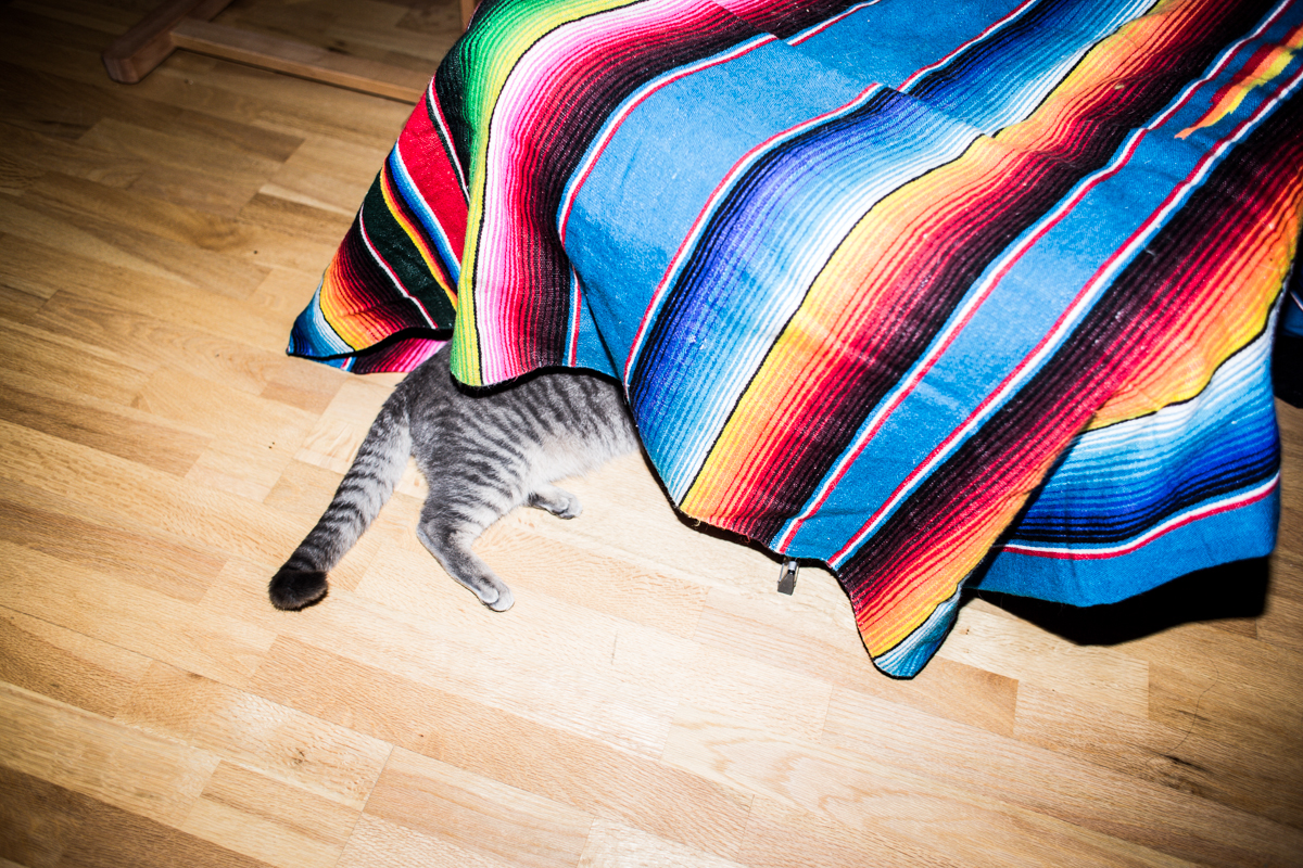 Behind the scenes MAN and Sunna Ben