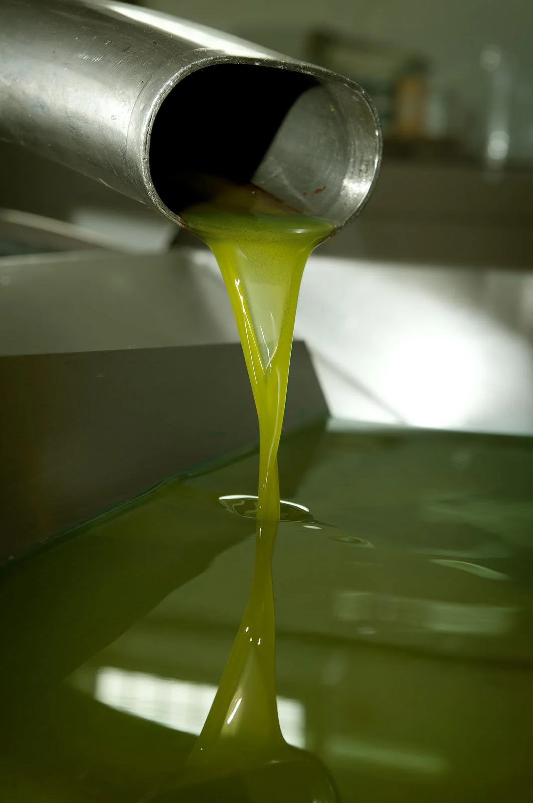 Foto_n_28_Salida_del_aceite_por_centrifuga.jpg