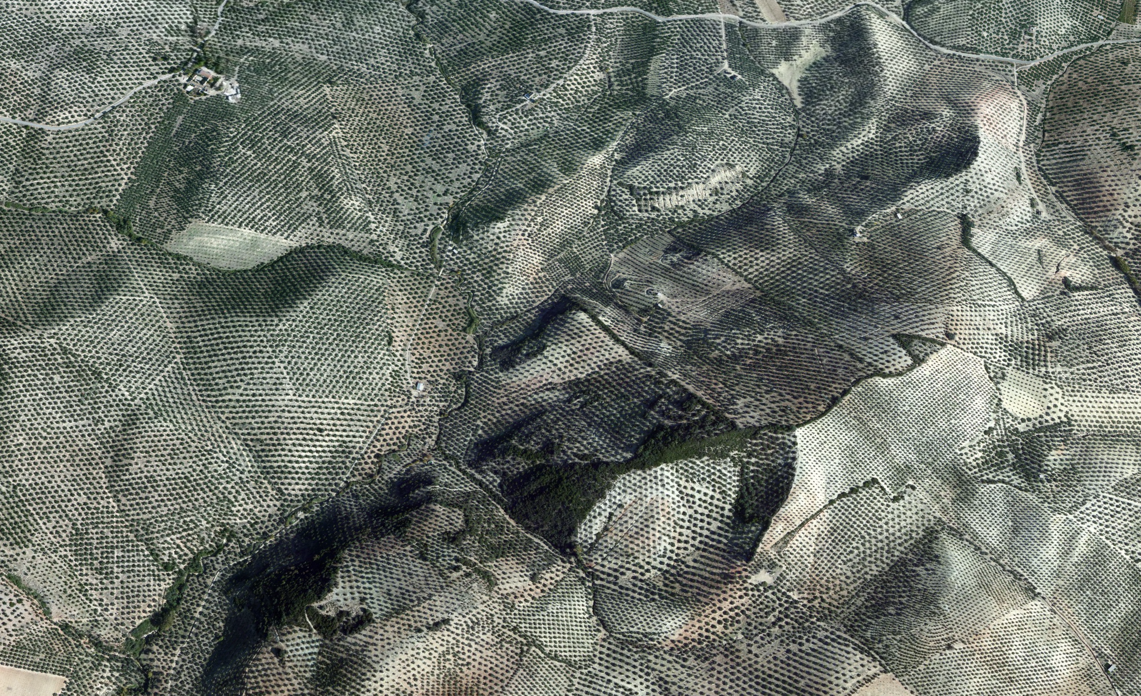 Llanos del Espinar