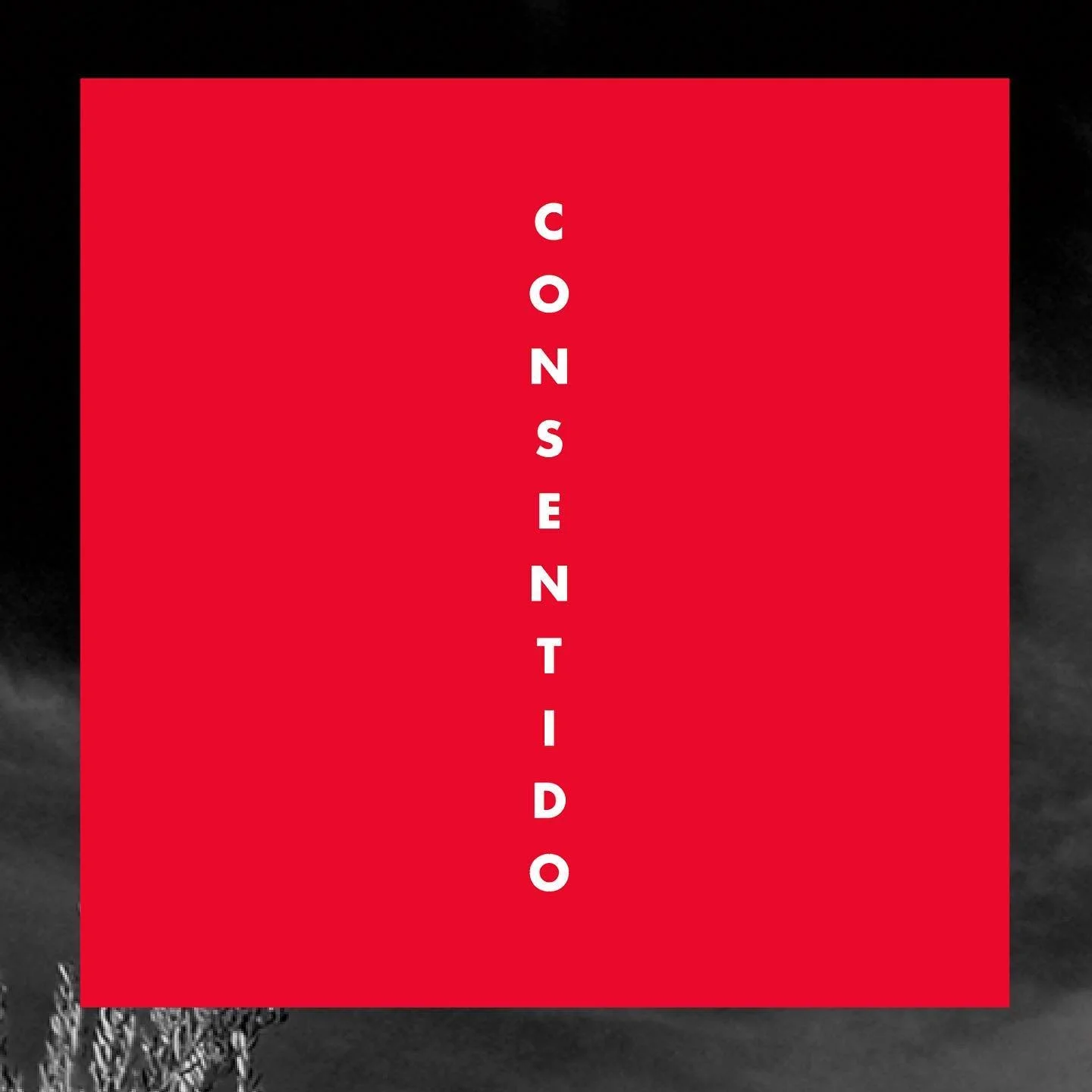 La fase de preventa a suscriptores ha sido un &eacute;xito. Y aunque este a&ntilde;o hemos embotellado bastante m&aacute;s, ya empiezan a quedar pocas&hellip; 💚

✅ AOVE FRESCO
✅ COSECHA DE OCTUBRE 2021