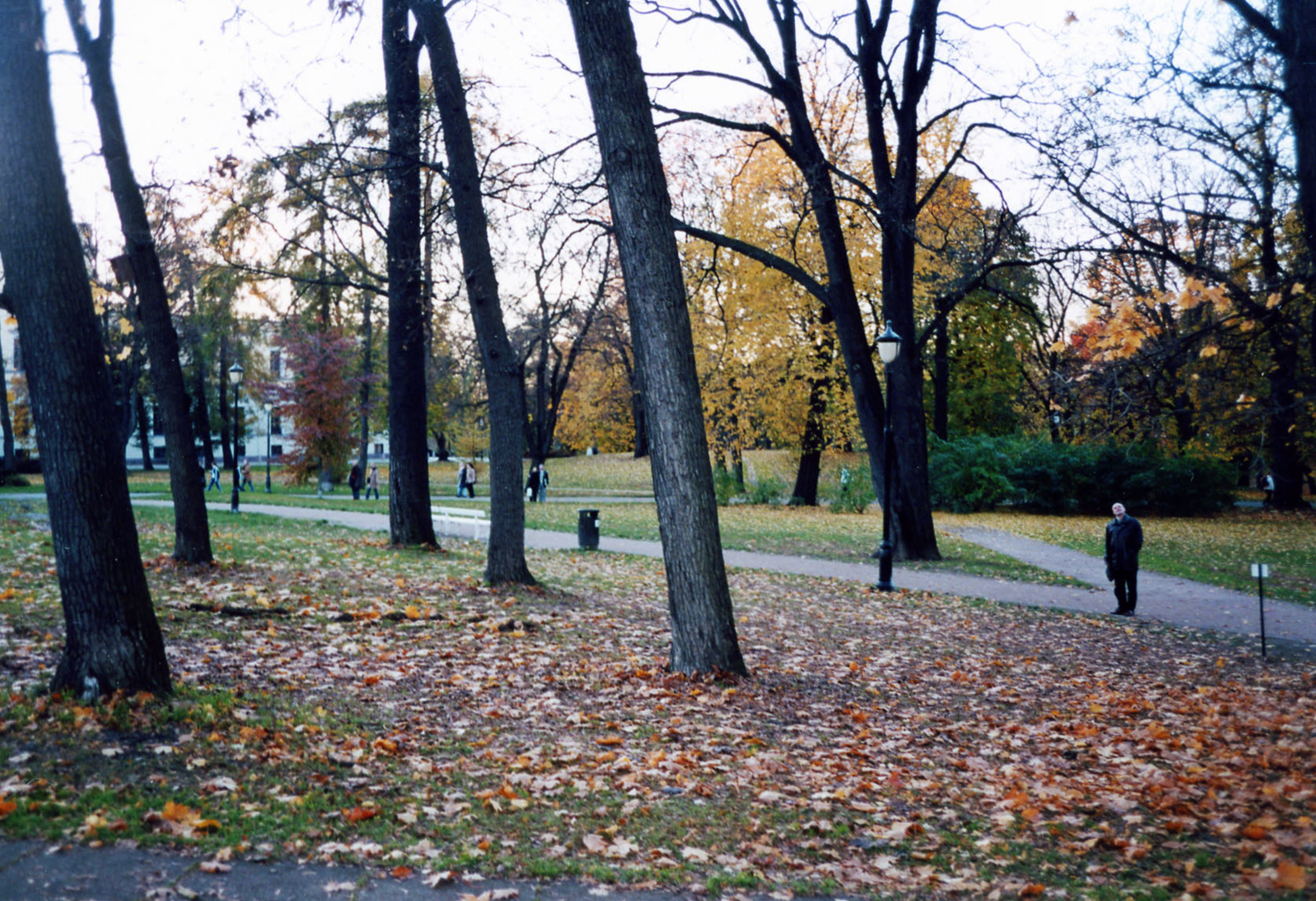 installation view Slotts.jpg