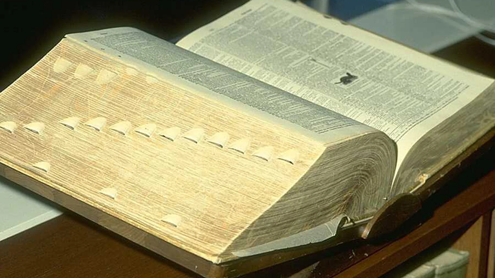 Book of Life