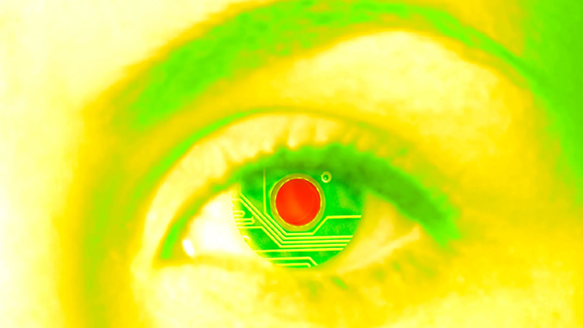 Lord's Eyes