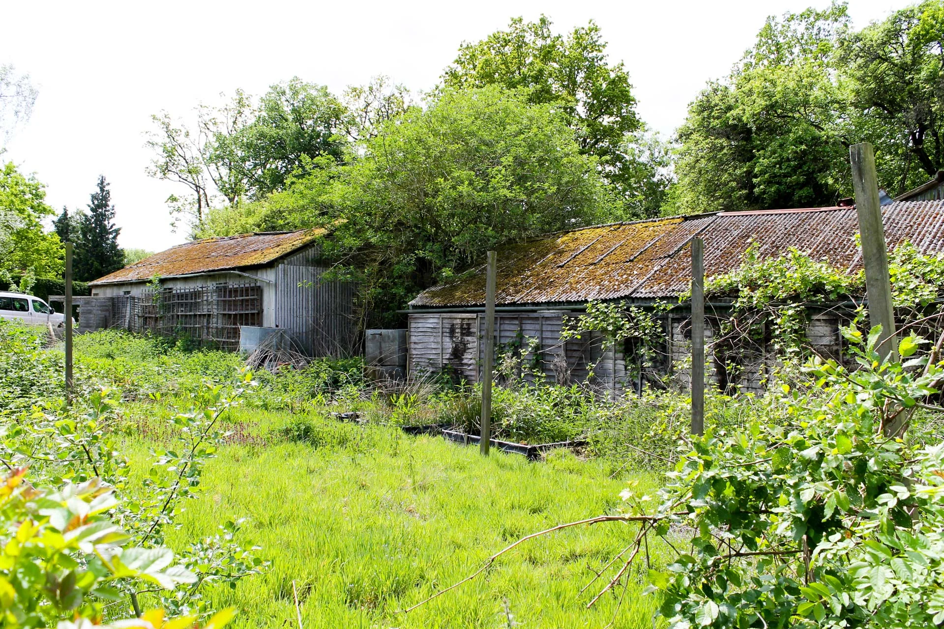 A view facing the main buildings from the existing back gate.
