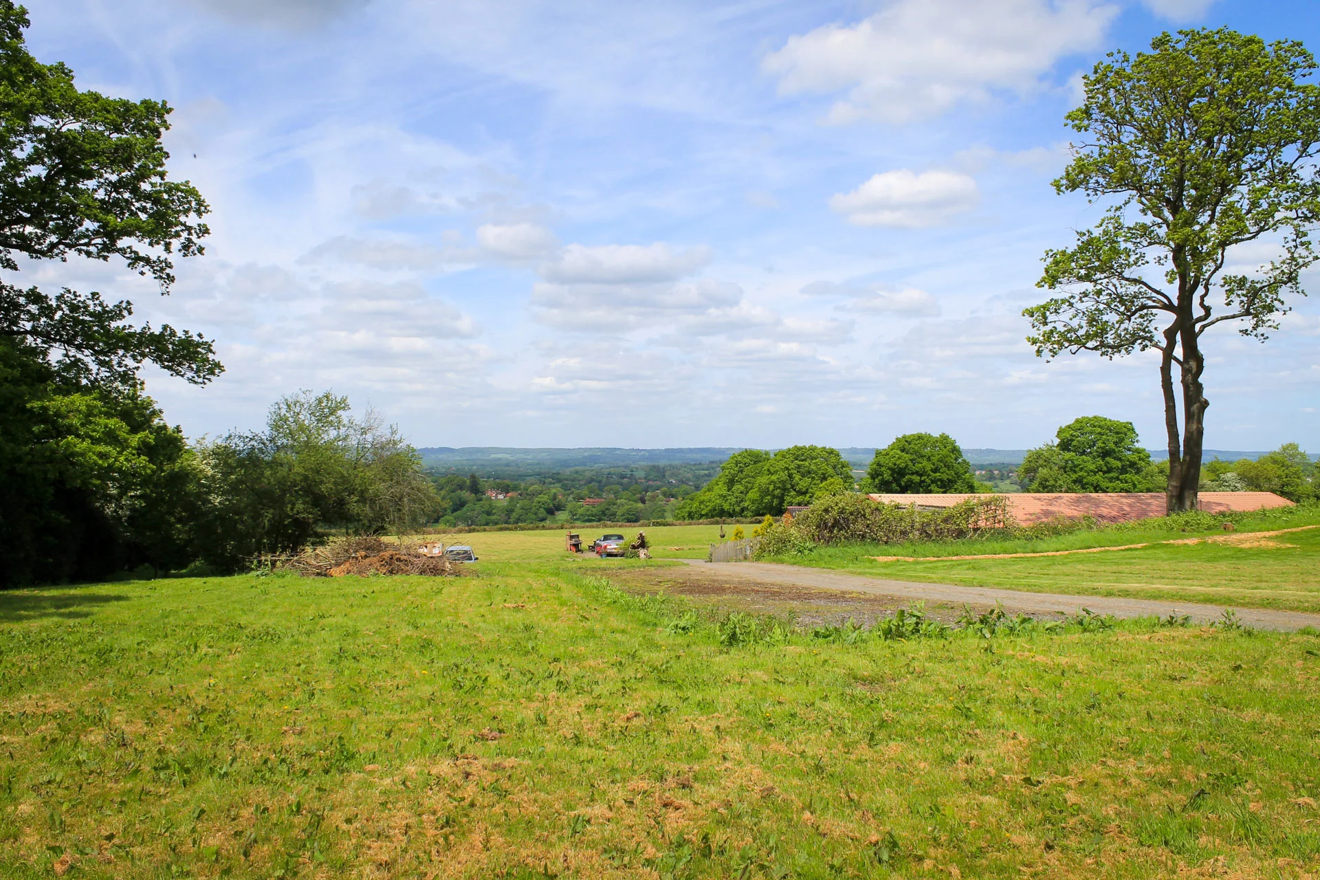The view of the North Downs from the bottom of the plot.