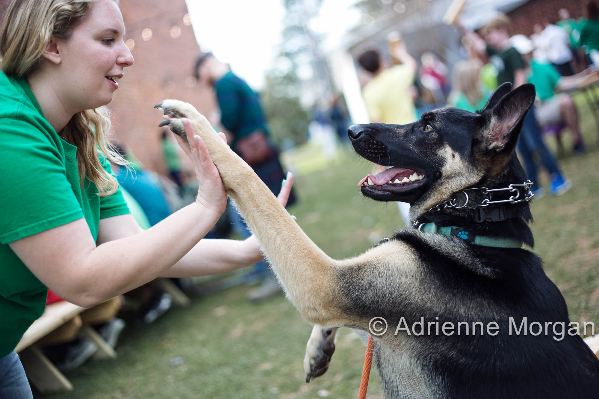  Saint Patricks Day Matthews NC 