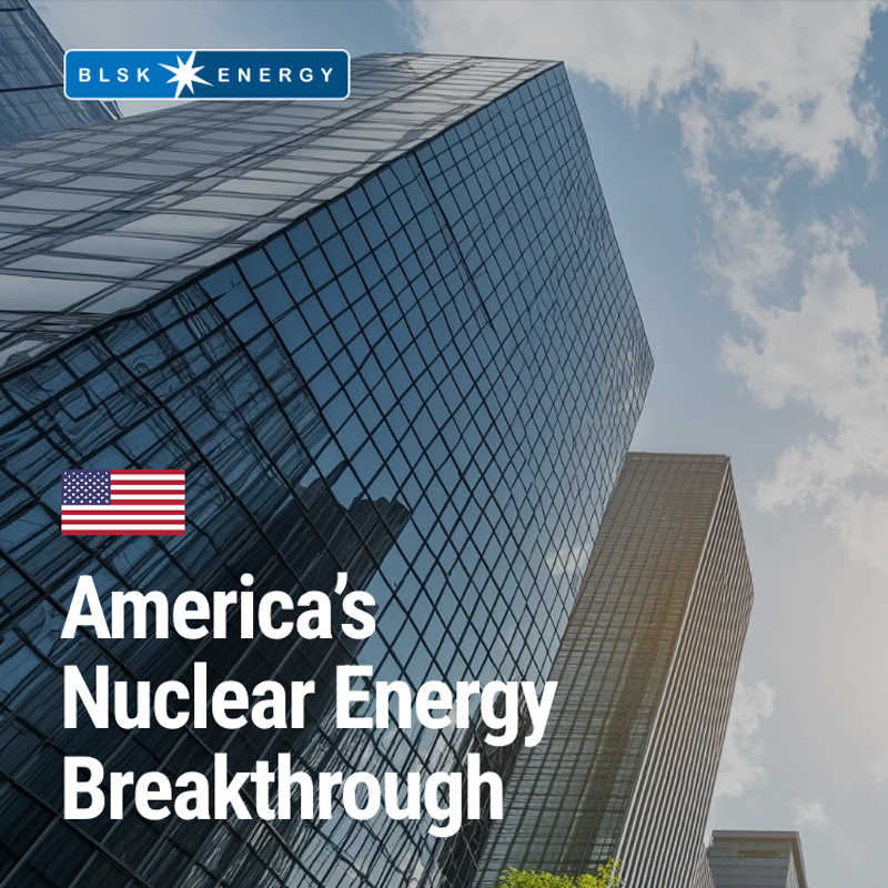 BLSK Energy (Case Study / Brand Strategy)